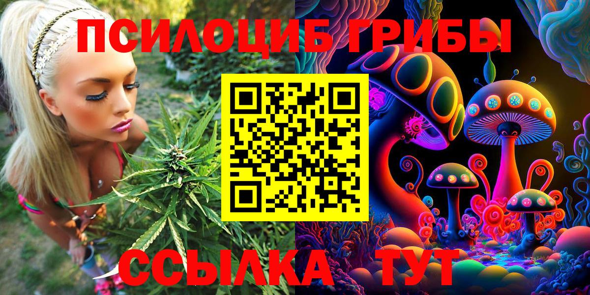 Галлюциногенные грибы Magic Shrooms  Вход с VPN  Усть-Джегута  Галлюциногенные грибы прущие грибы 