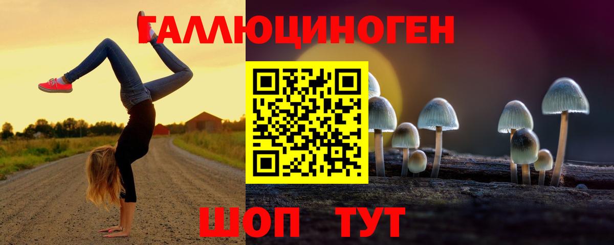Галлюциногенные грибы Psilocybe Усть-Джегута